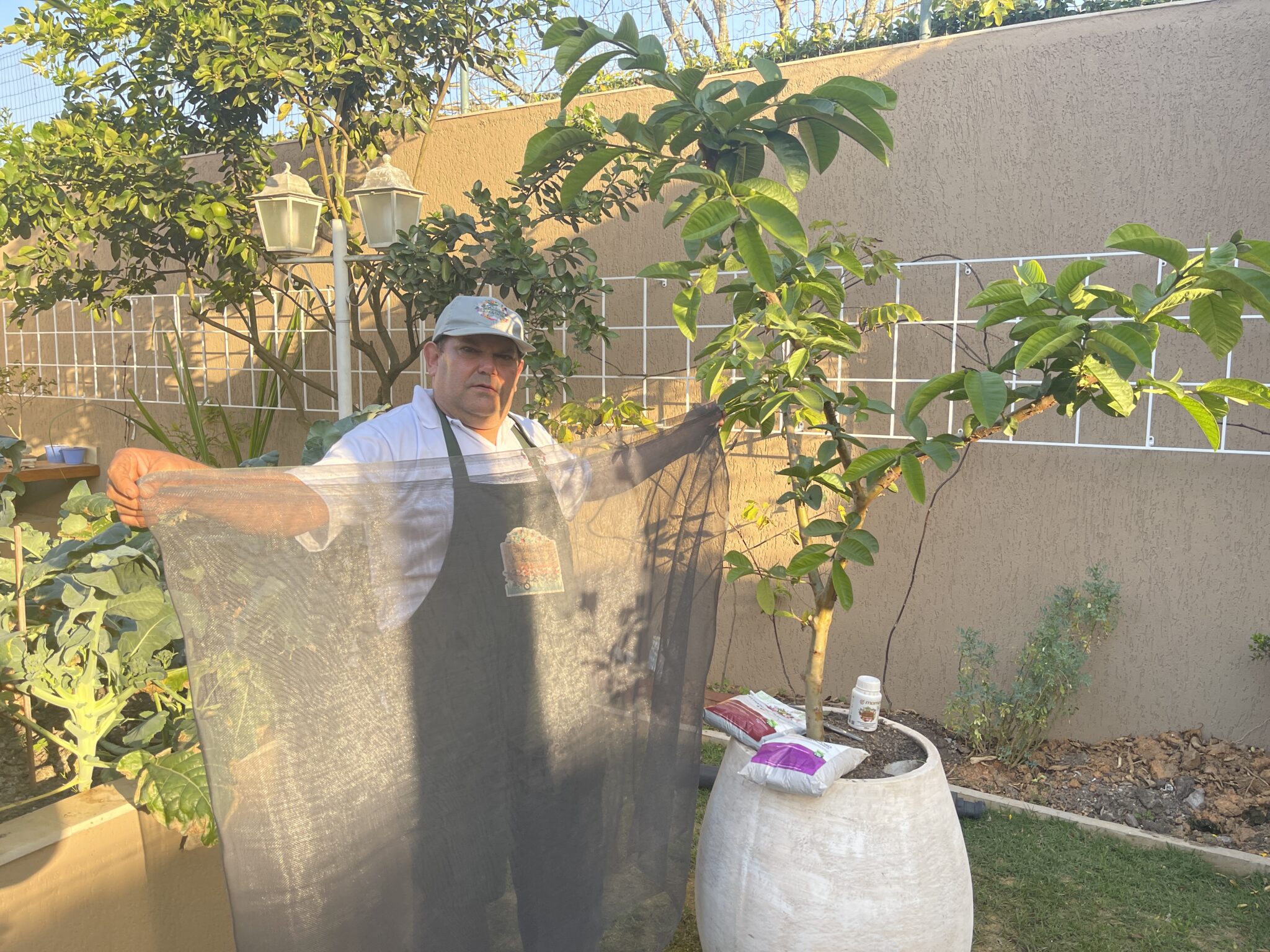 Como Proteger As Plantas Do Frio E Geadas Jardineiro Amador Tudo