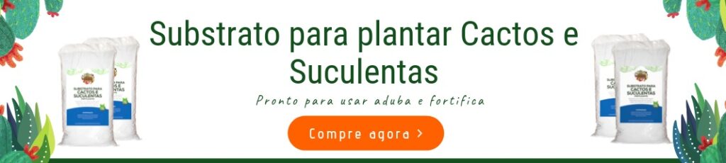 substrato para cactos e suculentas