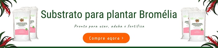 Substrato para plantar bromélia