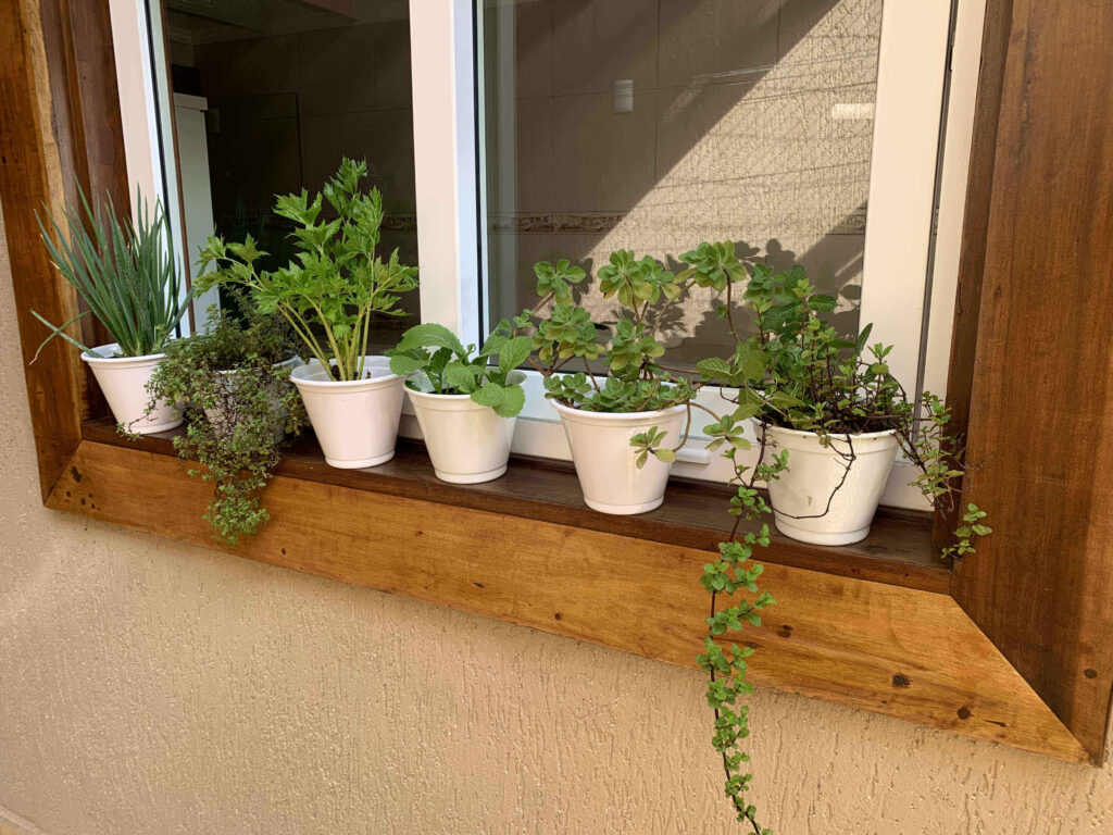 Horta em Vaso
